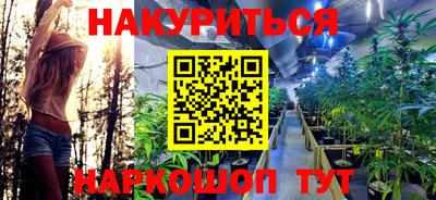 a pvp Дубна