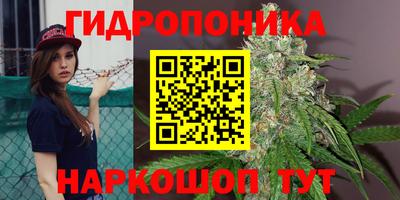 МДПВ Донецк